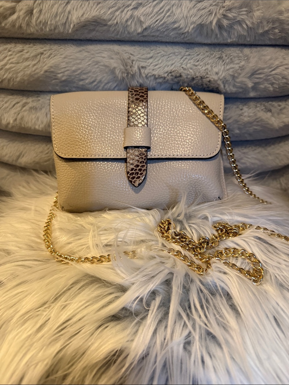 Divina Leather Snake Accent Pouch Mini Crossbody Bag with Gold Chain. Gorgeous!